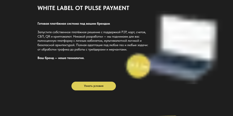 pulsepay.money